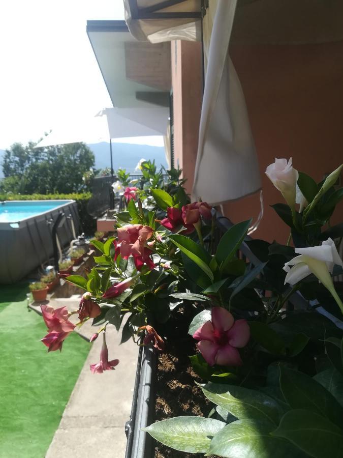 La Fontanella Apartment Polverara Экстерьер фото